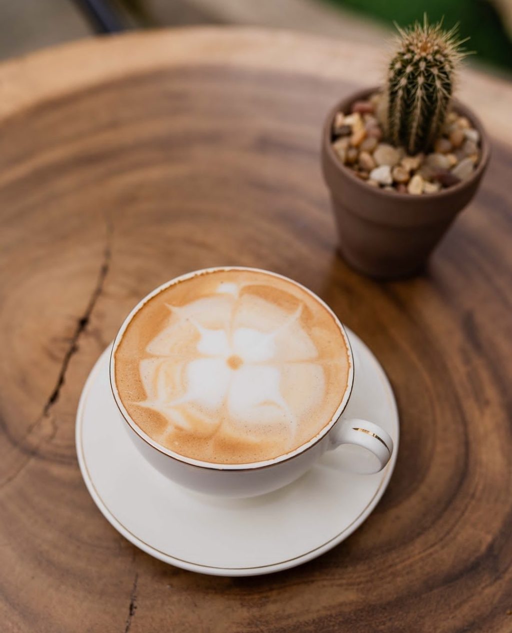 Grekka-coffee-capuccino.jpg
