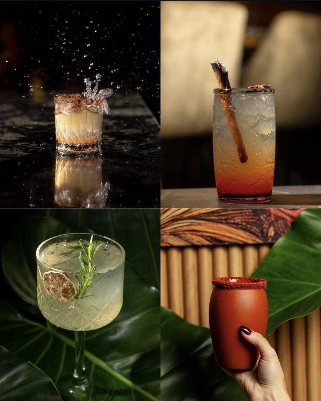 Selva-sdq-tragos.jpg