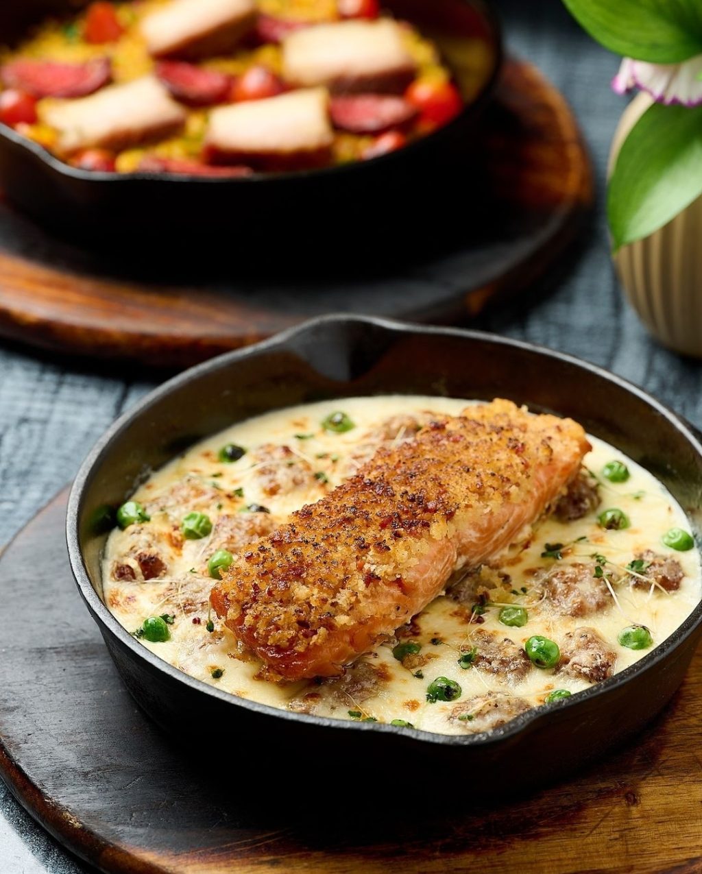 Noah-santiago-salmon.jpg